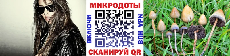 Галлюциногенные грибы мухоморы  Купить  Кимры 